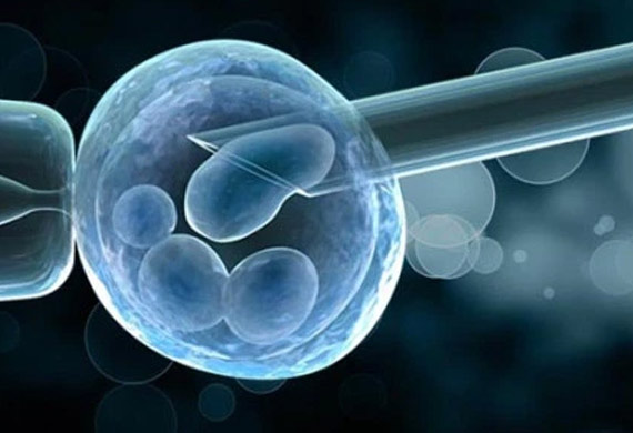 Embryo Biopsy
