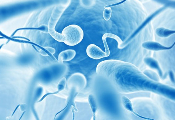 male infertility