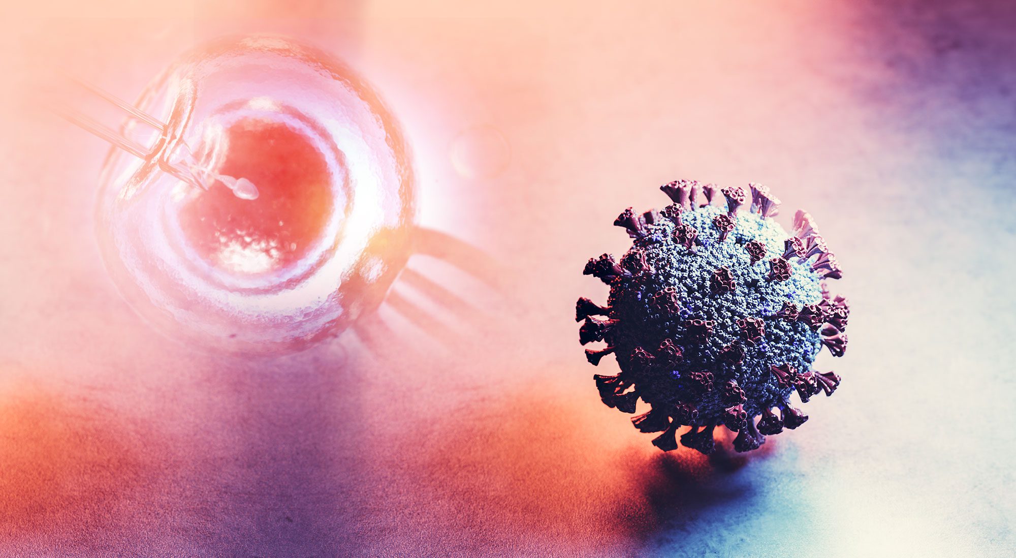 ivf vs covid