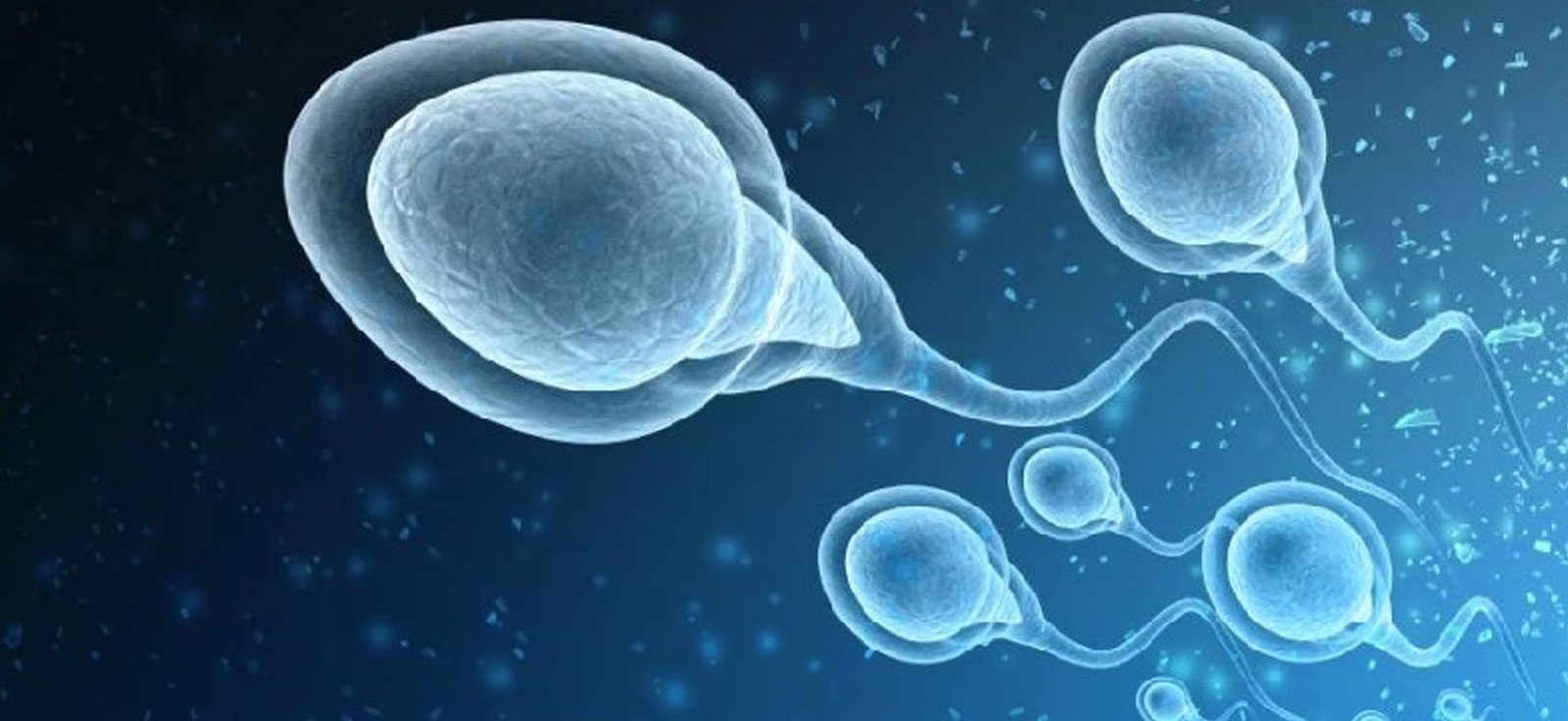 male infertility