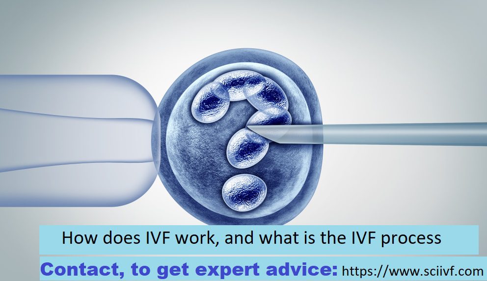IVF process