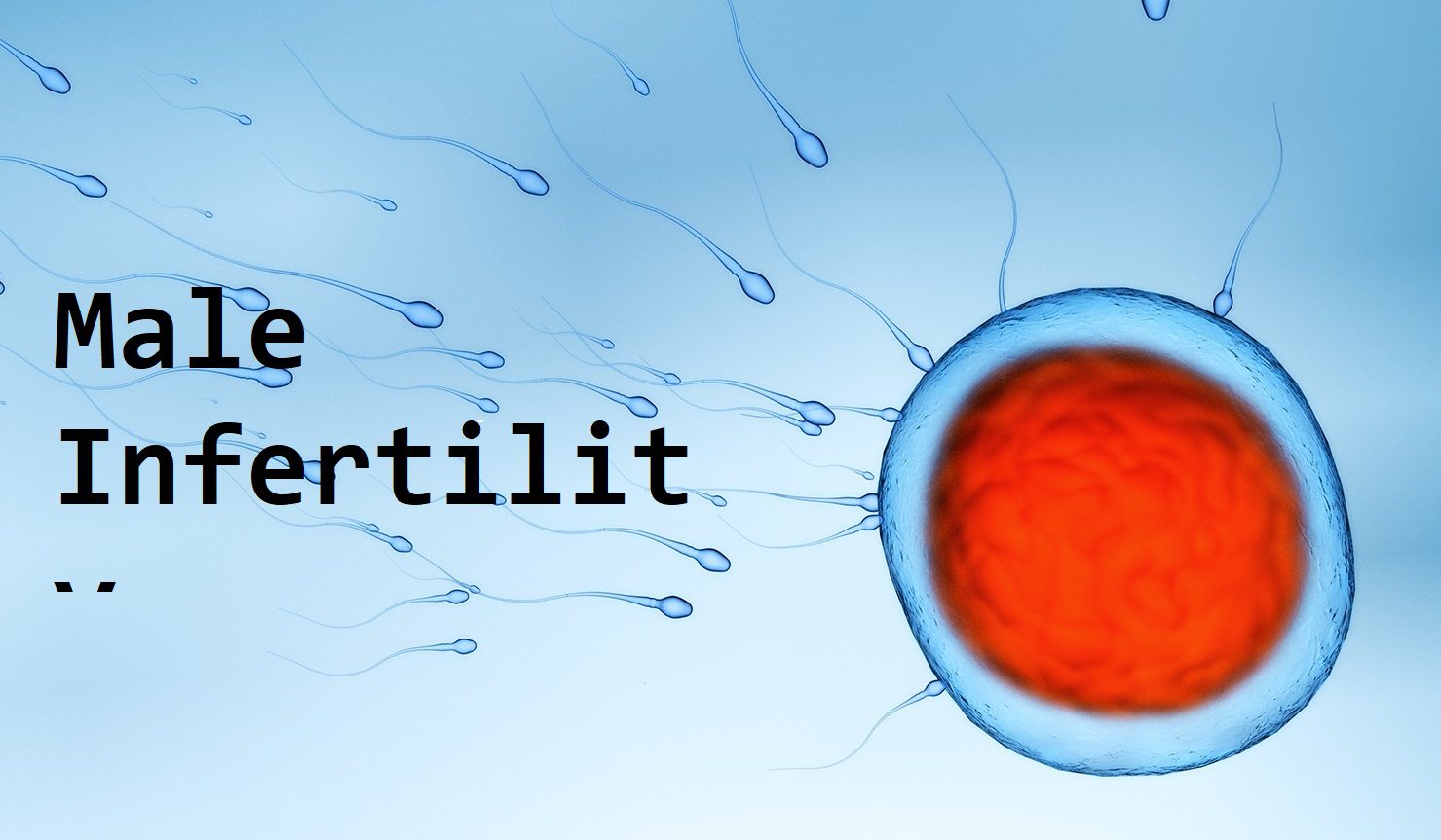 MALE INFERTILITY