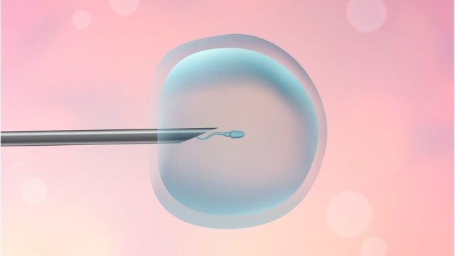 Life after IVF