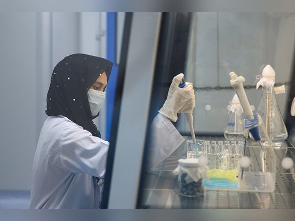embryo transfer