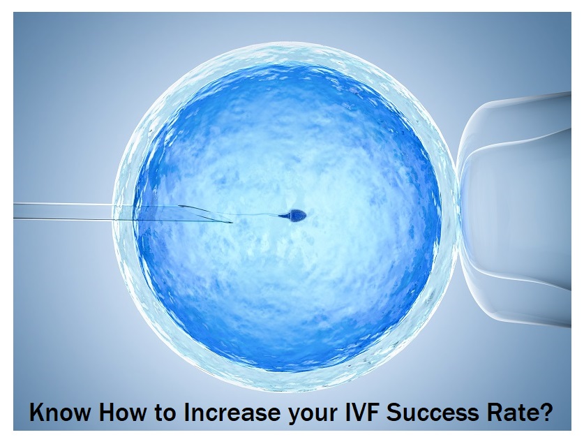 IVF Success Rate