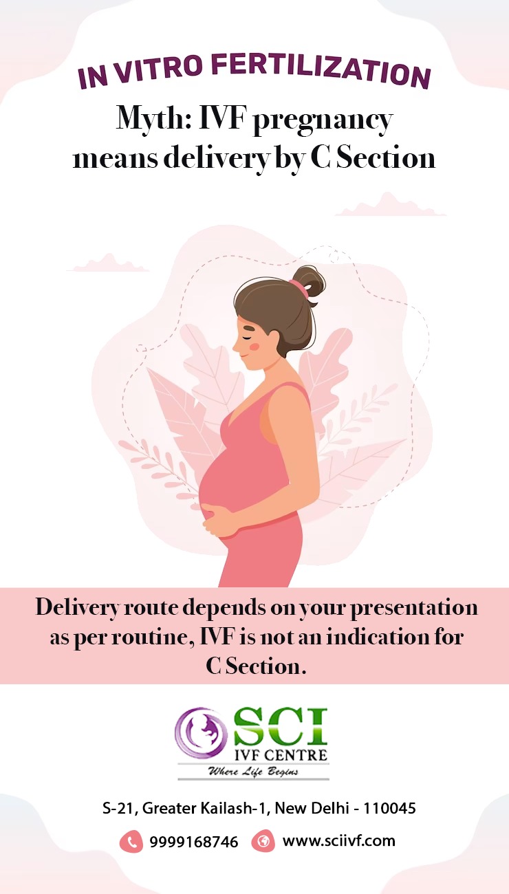 ivf pregnancy myth