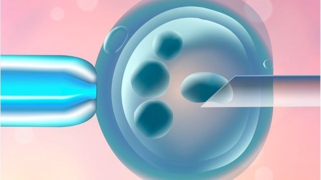 Testing in IVF Treatment