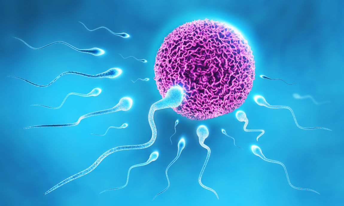 Infertility Hospital