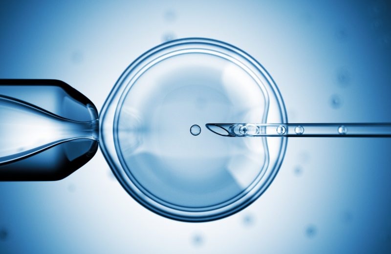 PGS IVF
