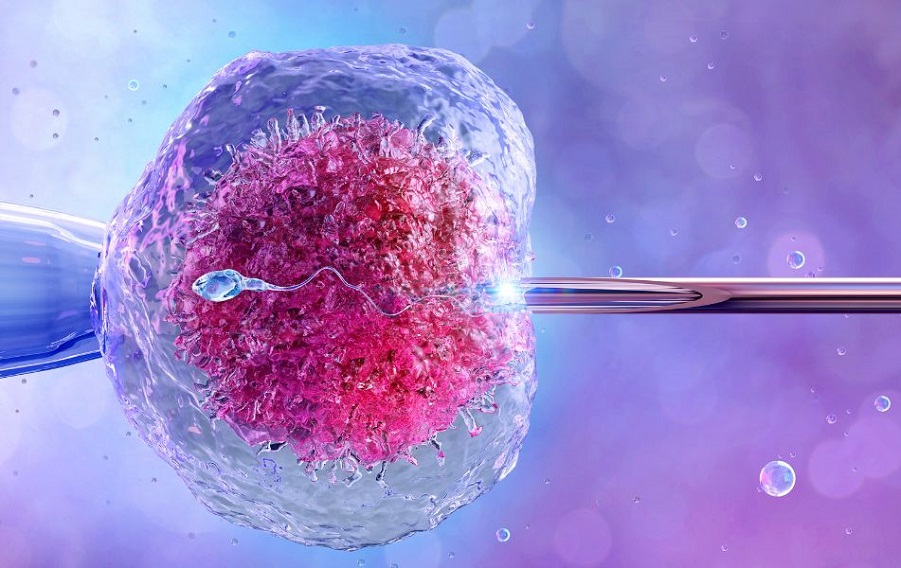 ivf success rate