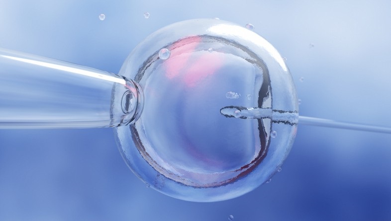 IVF Journey