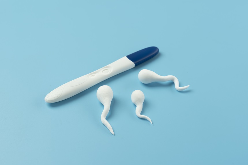 egg and sperm donation