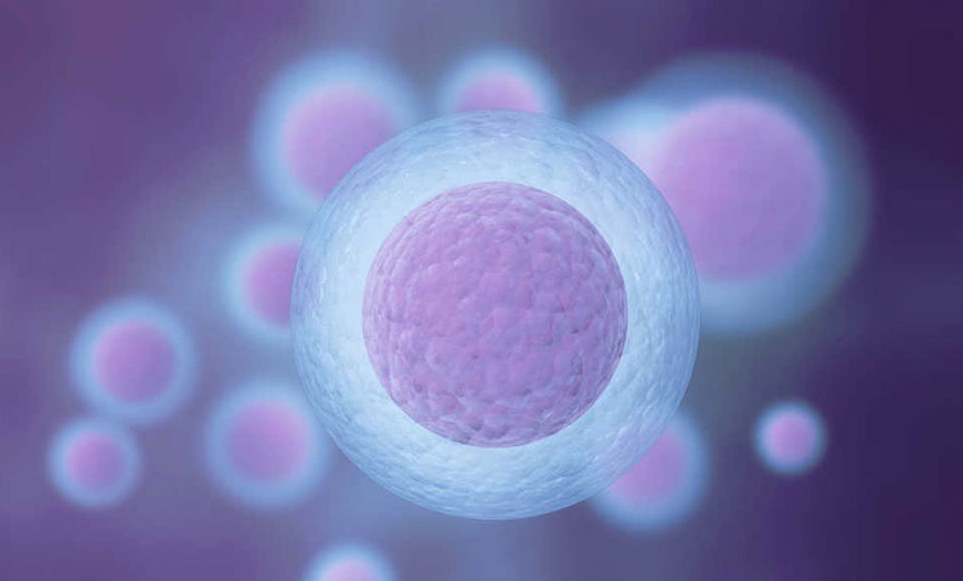 IVF Ovarian Stimulation
