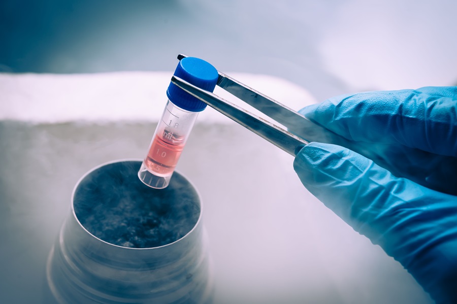 Frozen Embryo Transfers