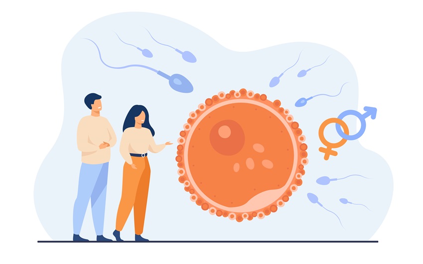 Male Infertility