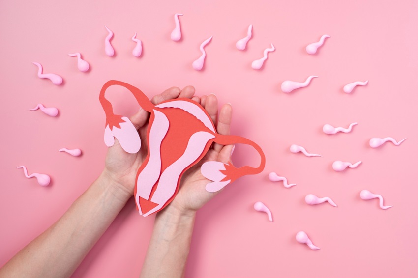 iui treatment centre