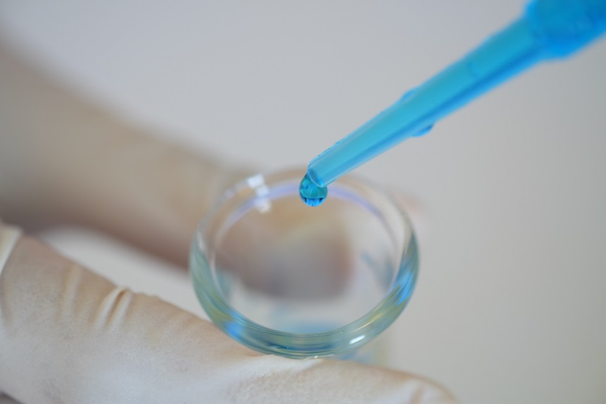 Embryo Cryopreservation Process