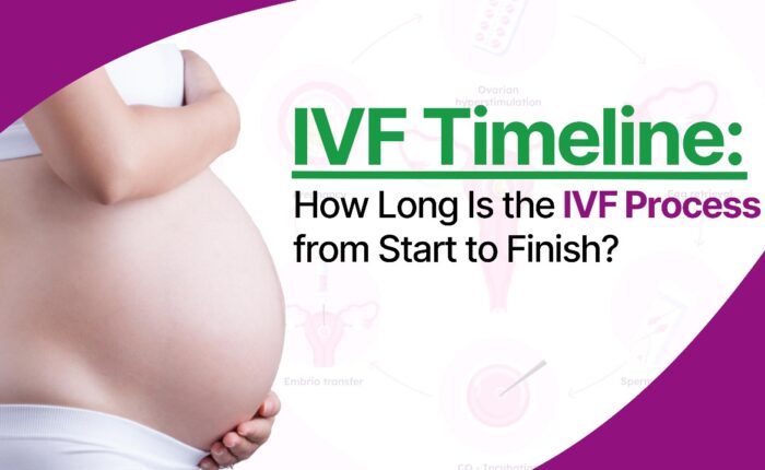 IVF Timeline