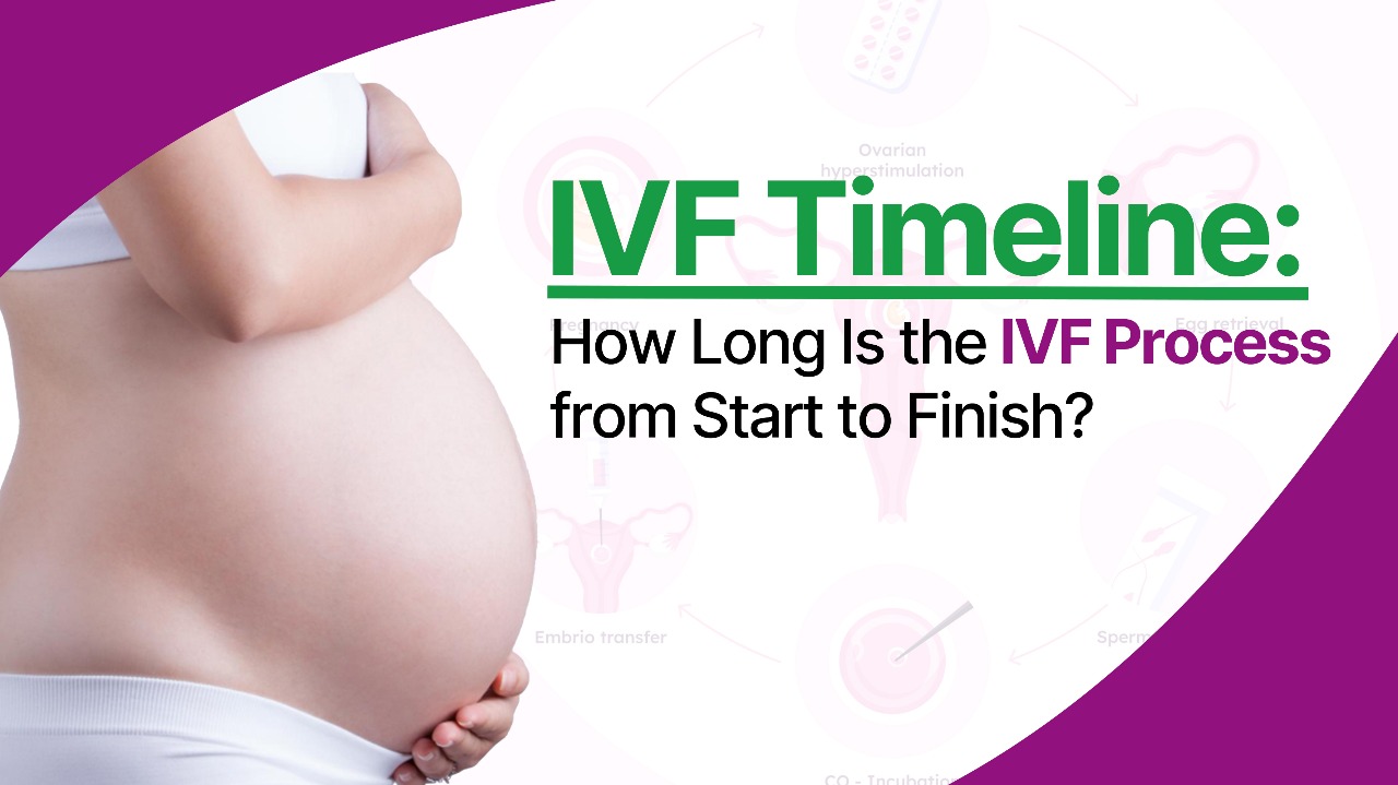 IVF Timeline